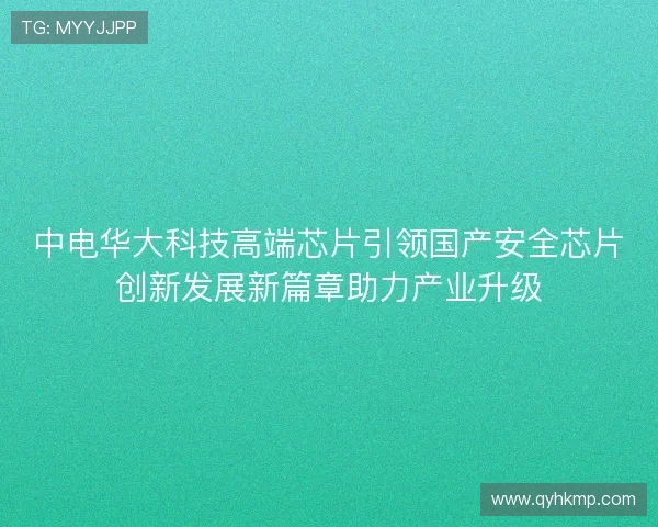 中电华大科技高端芯片引领国产安全芯片创新发展新篇章助力产业升级